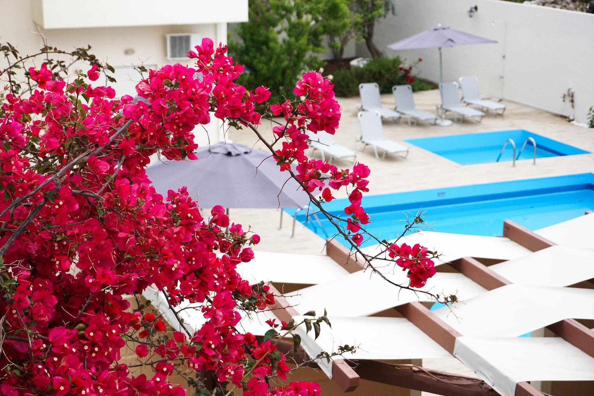 Dioni Hotel Adelianos Kampos Exteriör bild