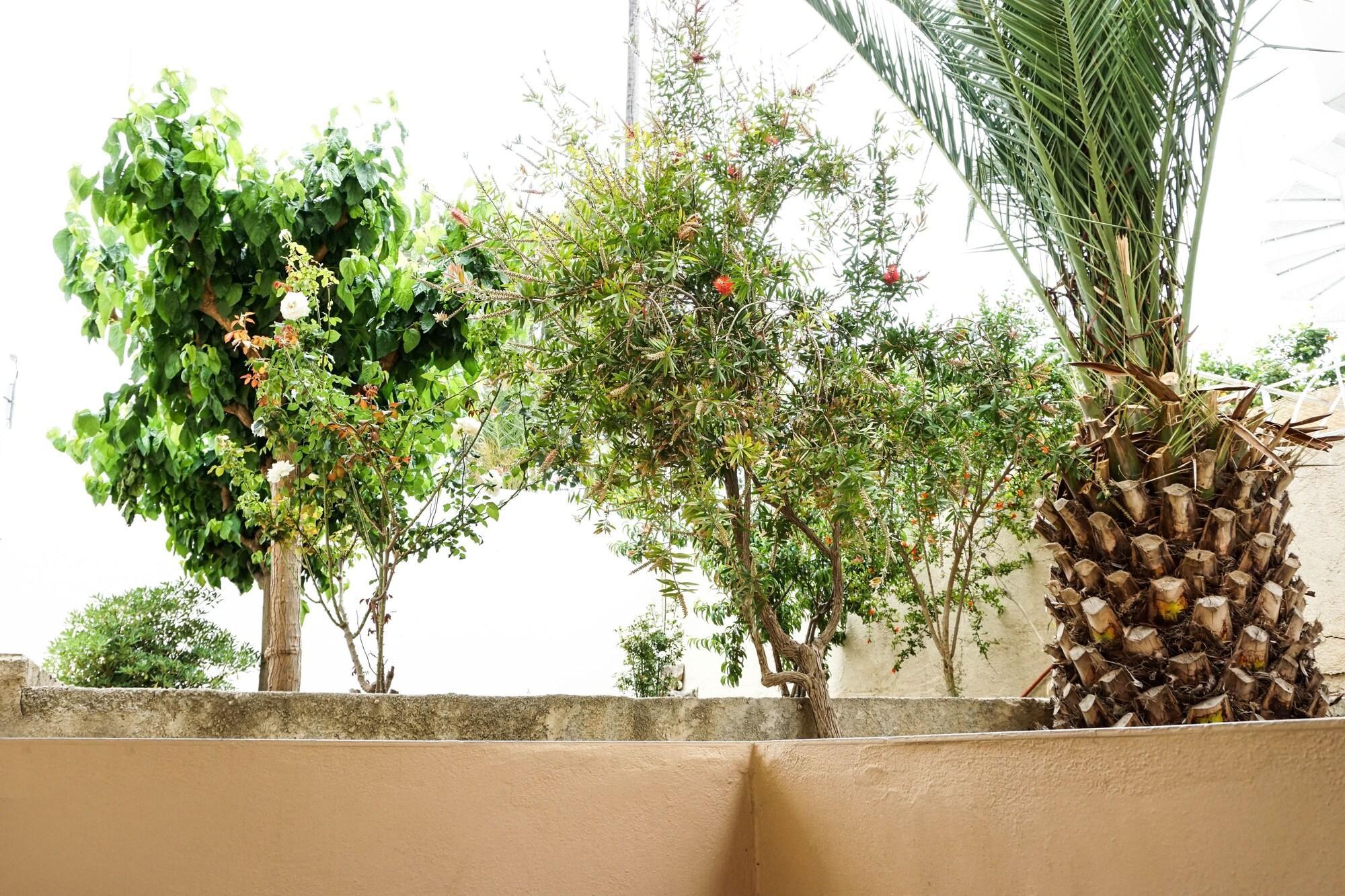 Dioni Hotel Adelianos Kampos Exteriör bild